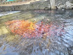 -水磨沟公园