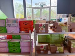 -爪吧宠物乐园 (温榆河示范区店)