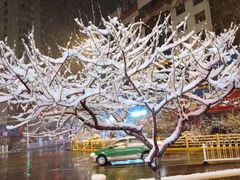 -清真军邺·金富苑肥牛(石坡街旗舰店)