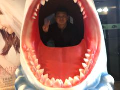 -天幕新彩云国际影城(激光巨幕店)