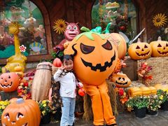 -郑州方特梦幻王国