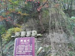 -少华山国家森林公园
