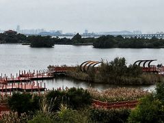 -芒洲湿地公园