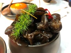 黑木耳-新辣道鱼火锅(航天万源店)