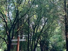 -同里国家湿地公园