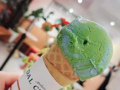 OATLY燕麦地球-Dal Cuore 达可芮冰淇淋(陕西北路店)