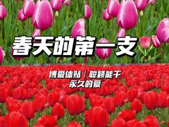 -静安雕塑公园