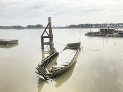 -大湾区中央湿地公园-十九涌