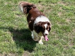 -蓝地时尚庄园(北京清河营地铁站店)