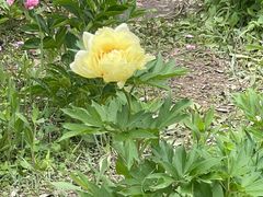 -长春公园(普阳街道)