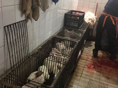 -温江公平红烧兔(总店)