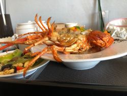 -厦门屿爱月子中心(独栋海湾店)
