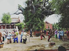 -大槐树寻根祭祖园