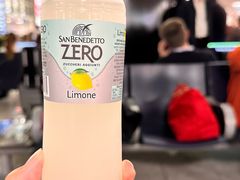 -米兰马尔彭萨国际机场