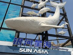 -大连圣亚海洋世界