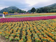 -广州市石门国家森林公园