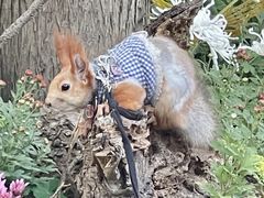 -共青国家森林公园-售票处