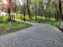 -东郊湿地公园