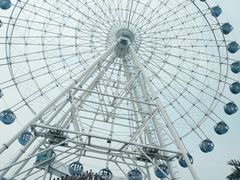 -秦皇岛乐岛海洋王国