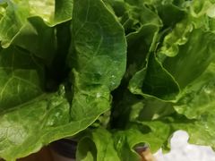 -龙泉人椰子鸡·糟粕醋·地标海南菜(龙昆南店)