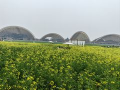 -中国天府农业博览园