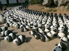 -牛鱼嘴原始生态风景区