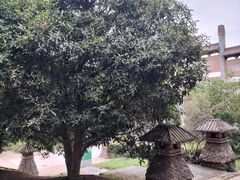 -方山风景区定林寺