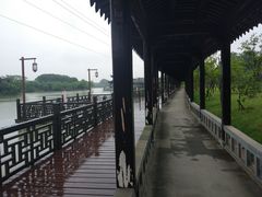 -八大山人梅湖景区