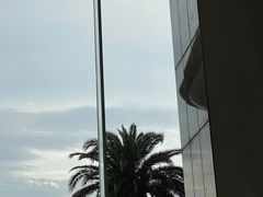 -舟山希尔顿酒店·開自助餐厅