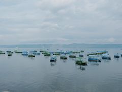 -抚仙湖禄充风景区