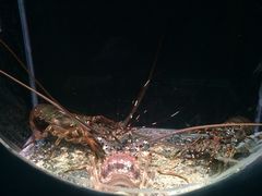 -邯郸海洋世界