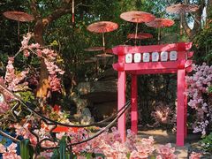 -海口观澜湖火山温泉谷