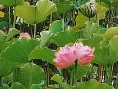 -沐仙湖湿地公园