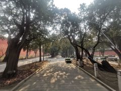 -北京市劳动人民文化宫(太庙)
