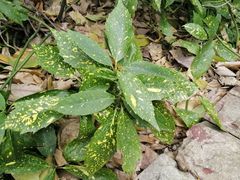 -苏州河梦清园环保主题公园