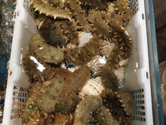 -旺角小渔村(幸福中路店)