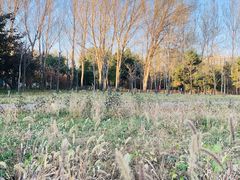 -长春公园(普阳街道)