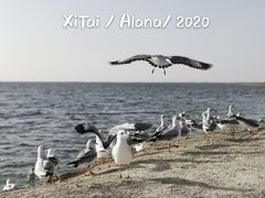 -西台吉乃尔湖