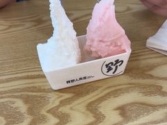 -野人先生Gelato(上海长宁龙之梦店)