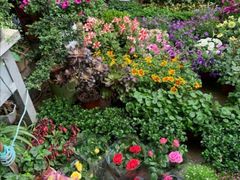 -金陵花卉交易市场