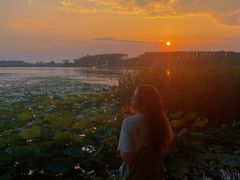 -丁香湖公园