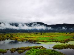 -腾冲北海湿地