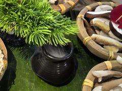 -菌彩云南野生菌火锅(呈贡七彩云南第壹城店)