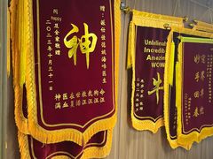 -北京派仕佳德动物医院·超导核磁·CT·神经科·骨科·内外科·急重症管理中心