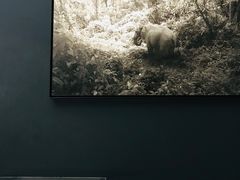 -现代汽车文化中心 Hyundai Motorstudio Beijing