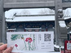 -洛阳白马寺