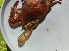 -老太太海鲜城(森林公园任家台店)