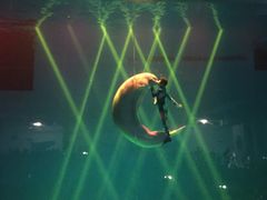 -芜湖新华联大白鲸海洋公园