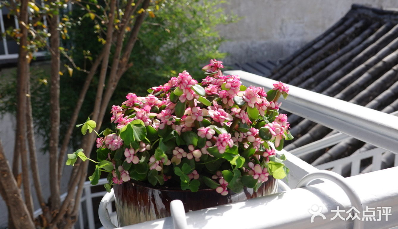 大理古城性价比超高的双人餐