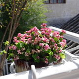 大理古城性价比超高的双人餐